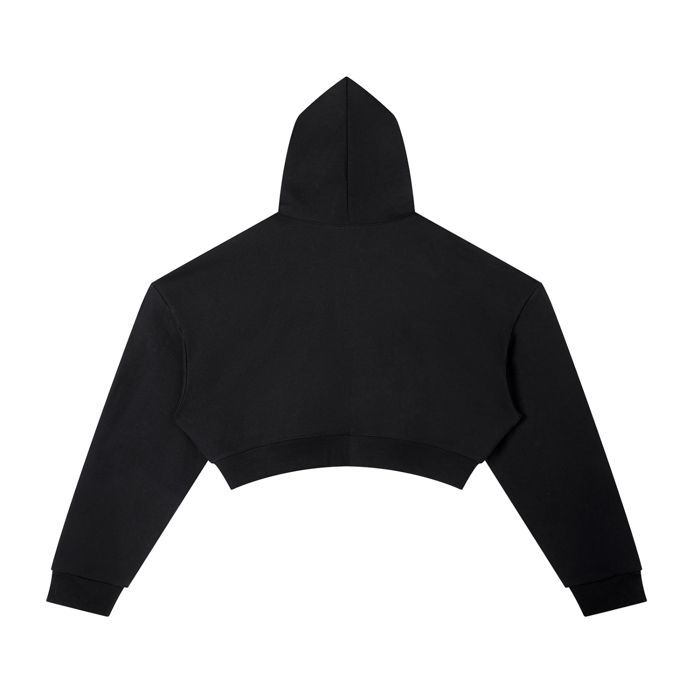 Sorry, I Have Plans. Hoodie