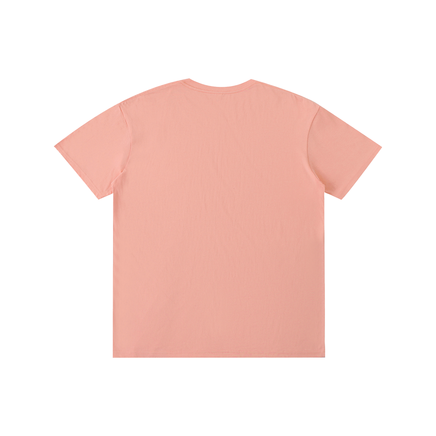 South Dakota "She's a teacher" unisex t-shirt