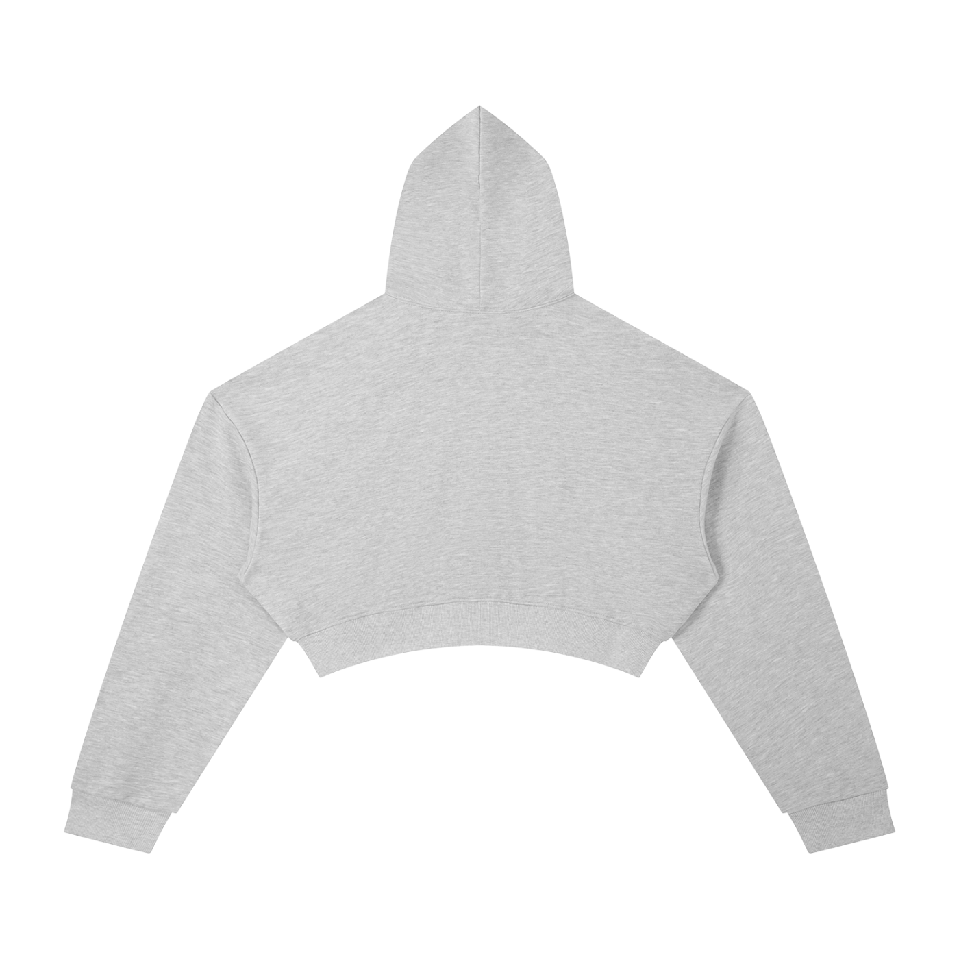 Sorry, I Have Plans. Hoodie