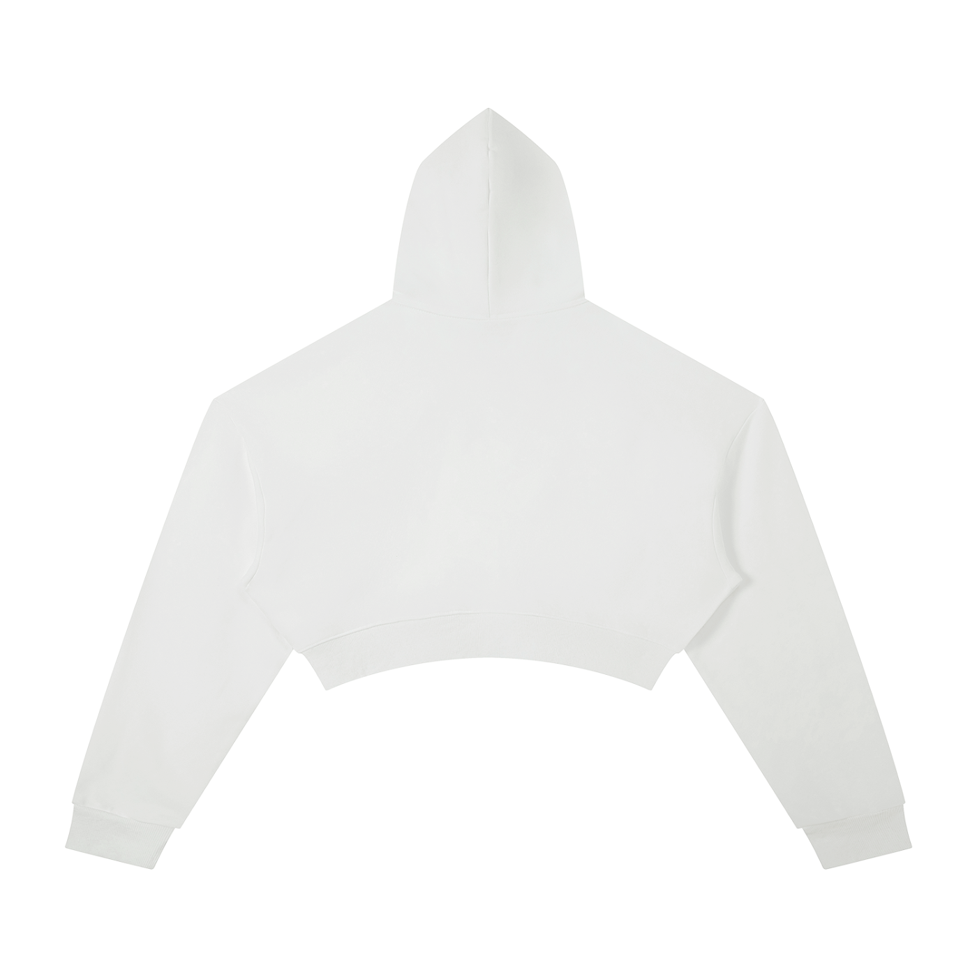 Sorry, I Have Plans. Hoodie